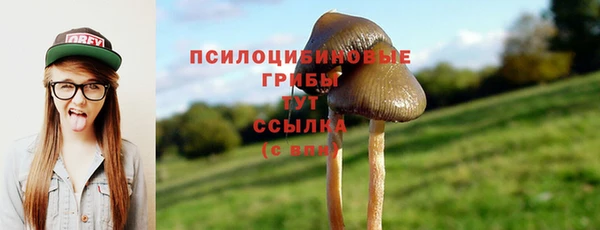 винт Карпинск