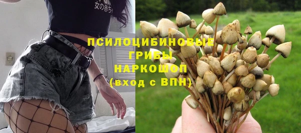 mdma Каменка