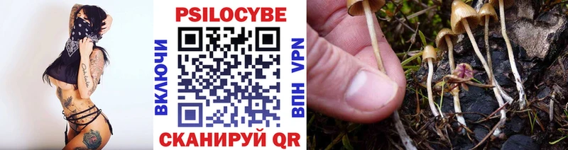 Галлюциногенные грибы Psilocybe Купить закладки Мамадыш