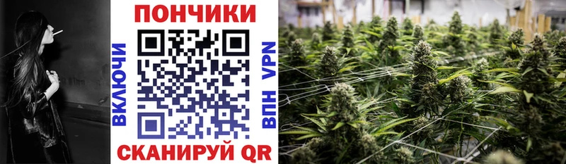 Бошки марихуана семена  Купить  Мамадыш 